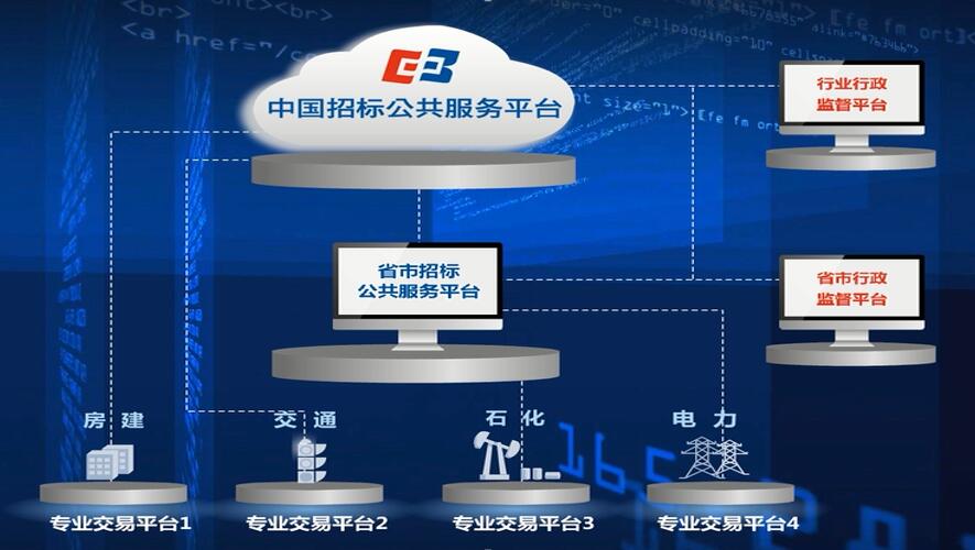 我國“互聯(lián)網(wǎng)+”招標采購實踐與展望——李小林