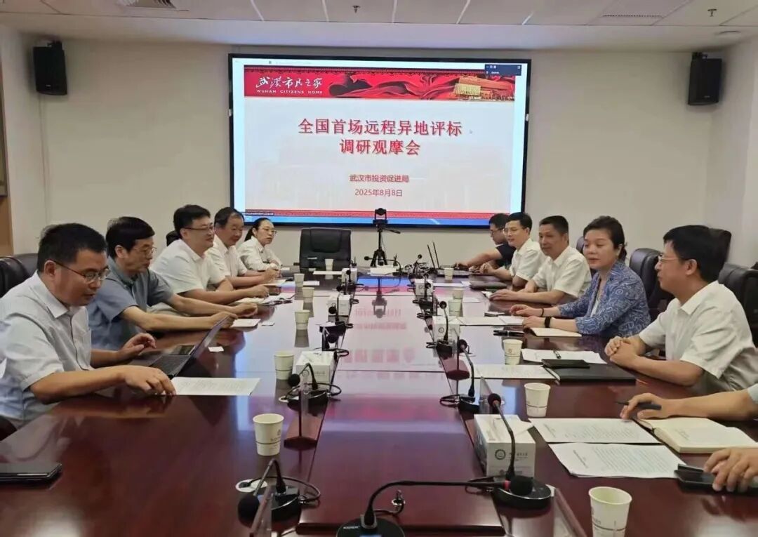 遠程異地評標，湖北首例執行、首個“點亮”